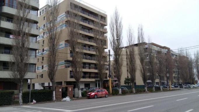 מאמאיה Wild Africa Apartament מראה חיצוני תמונה
